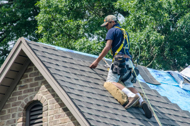 Best Gutter Installation and Roofing  in Ashland, KY